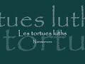 Bébés tortues