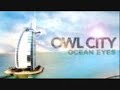 OWL CITY FIREFLIES!! CHART-TOPPING AWESOME NEW SONG 2009!!! WITH LYRICS!!!! IN FULL!!!!!