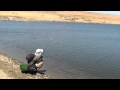 Ver Video