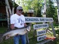 videos de large lake trout