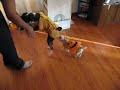 Doggy Halloween Conga Doggy Halloween Conga