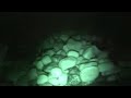 Night Vision Aquarium Fish Night Vision Aquarium Fish