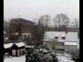 videos de First snow in 2008 (east window)