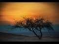 Megaherz - Wir sterben jung