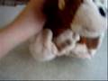 Webkinz Adventures Episode 3