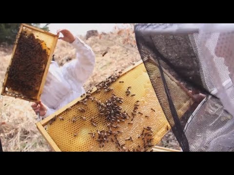 See video