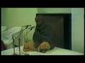 Swami Tilak- Ultimo Satsangha antes de Mahasamadhi P-2A