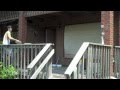 The Catapult Fail | Brodie Smith