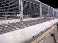 Singapore Grand Prix 2008 Formula 1 - Day 2