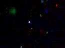 Harrahs Pool Pary Djais