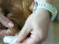 Home blood glucose testing