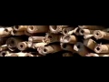 Bee investigating bamboo stems