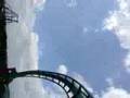 kumba @ busch gardens africa