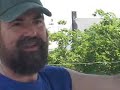 P-town bear week story by john burrows