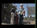 The Sugar Bear -- Baseball\ The Sugar Bear -- Baseball\