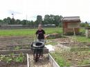 The Community Garden The Community Garden