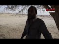 ���� �� ������ ���� �������� �� �����