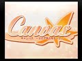 ps2 canvas op