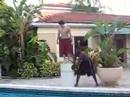 3B JUMPING IN THE POOL 3B JUMPING IN THE POOL