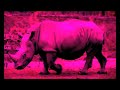 the animal journey into retro sound.
not to be taken seriously.