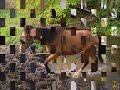 Ja i M�j Egon