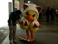 Chocobo of Final Fantasy