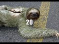 The most weirdest creatures in the world