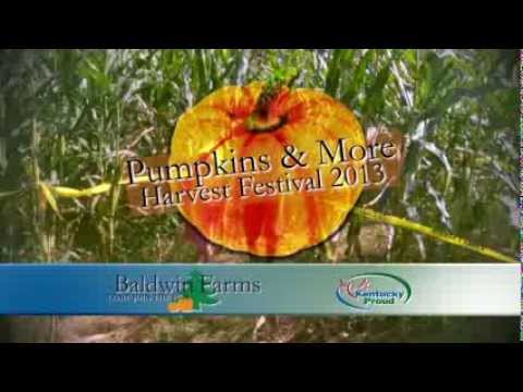 how to grow pumpkins in ky
