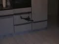 http://stores.ebay.com/tradeprice888Features    * Length: 380mm    * Width: 140mm    * Height: 170 mm    * Weight: 0.6 lb (with accumulator)    * 3 Channel    * POWERED BY 2 SOLID MOTORS WITH A 3RD MOTOR IN THE TAIL ROTOR    * Engine: 180 RpM    * First rotor: 340 mm / 375 mm    * Easy Control , Easy To Fly    * Pre-Assembled    * Battery: lithium polymer 8.4v 350mAh Ni-MHPackage Contents    * 100% Brand New in Retail Packaging    * 1 x 3-Channel APACHE AH-64 Helicopter    * 1 x 8.4v 350mAh Ni-MHRechargeable Battery    * 1 x Battery Charger ( Input 200-220v )    * 1 x Remote Control (8 x AA battery is not included)    * 8 x A Blade    * 8 x B Blade    * 1 x English Instruction Manual