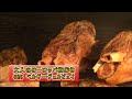 大人のヨーロッパ街歩き ベルギー・デュルビュイ編 デュルビュイ