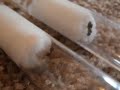 Click here to watch this video Lasius and Myrmica queens in test tubes