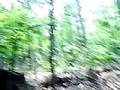 timberjack 230d cable skidder pulling a log form the woods #2