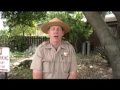 Dam Video