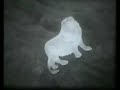 still image animation, made with  super8 video