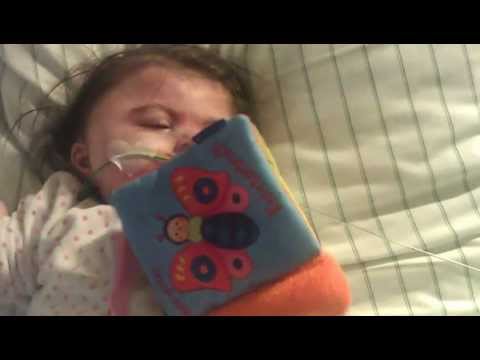 Annika und ihr Knisterbuch