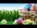 Просмотр видео