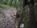 Mudding a Dodge Ram 2500 Diesel 4x4 in Georgia