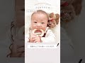 ふんわりラトル""