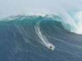 Surf Big Wave and Reggae Dub