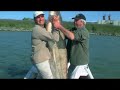 Silures leurres et strat�gie