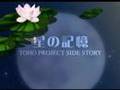 TOHO PROJECT SIDE STORY 星の記憶