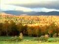 Vermont-Foliage