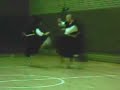 shorinji kempo embu
