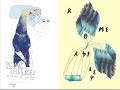 Rome Asleep - Young and Fucked Up