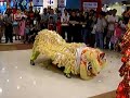 Lion Dance