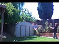 Trailer (1)