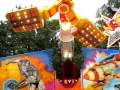 In the amusement  park, Night  Fly and  Extreme  Spinner.