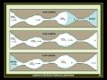 Geologic Carbon Sequestration: Mitigating Climate Change by Injecting CO2 Underground