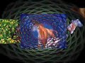 Final Cut Animoto Animals