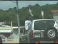 Caravana Inicio de Campaña - Pertorriqueños por Puerto Rico